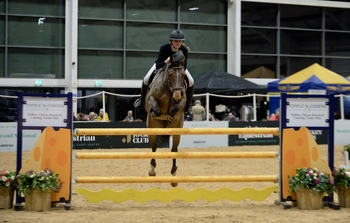 Bella Wild will make a return to the Royal International Horse Show with victory in the SEIB Winter Novice Qualifier at Aintree Equestrian Centre